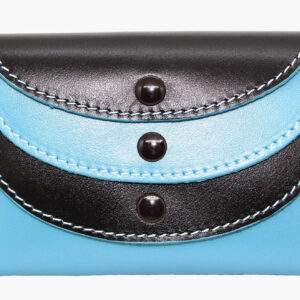 Credit Card Holder with 4 Pockets (Blue)